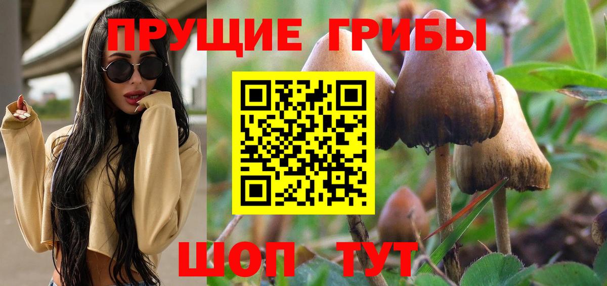 Галлюциногенные грибы MAGIC MUSHROOMS  Вход с VPN  Советск  Псилоцибиновые грибы ЛСД 