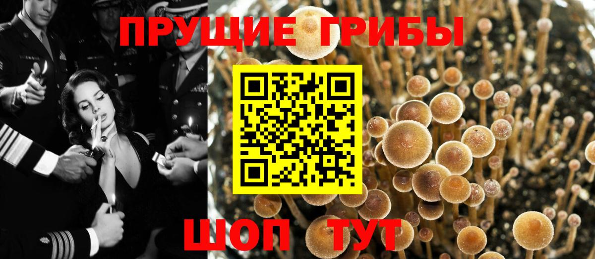 Галлюциногенные грибы мухоморы Советск